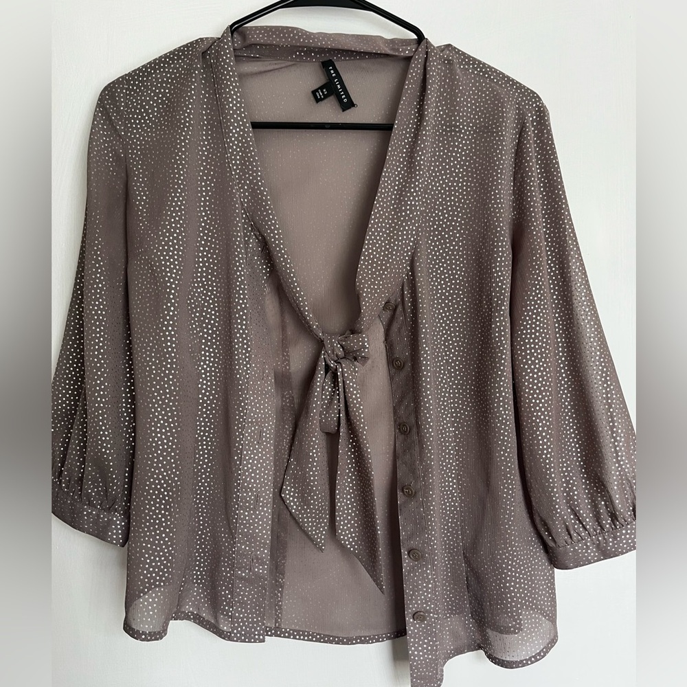 The Limited Brown Relaxed Blouse with Sailor Collar and Tie Front